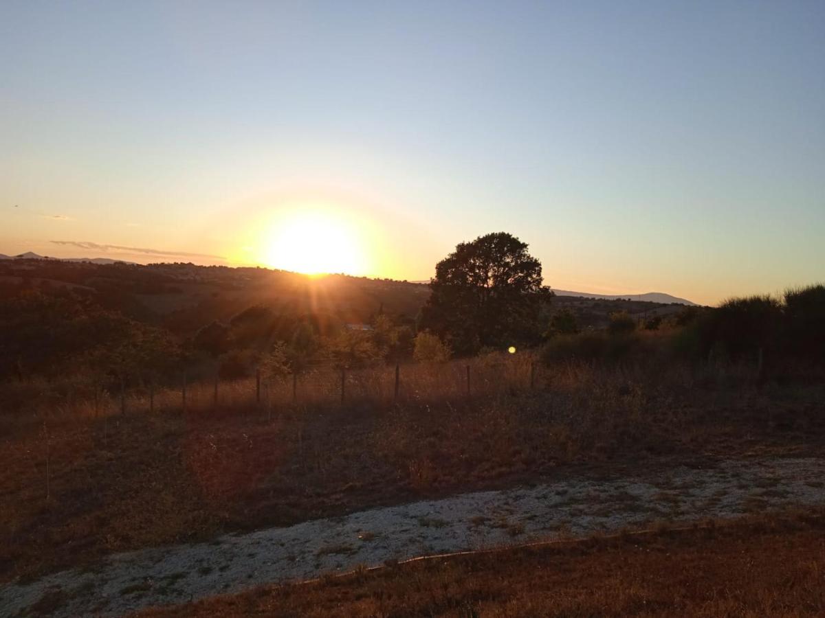 Agriturismo Il Cielo In Terra Sant'Oreste Bagian luar foto