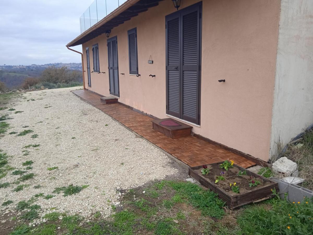 Agriturismo Il Cielo In Terra Sant'Oreste Bagian luar foto